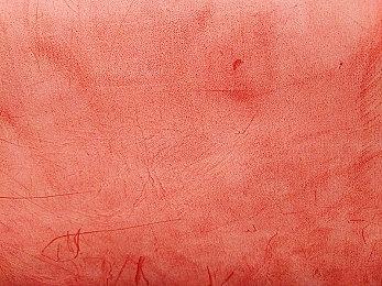 《Bigfoot Life》大脚怪太像人脸 开发者或考虑修改